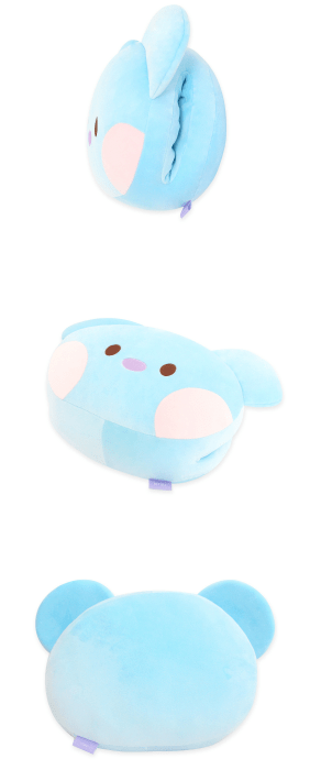 NARA HOME DECO CHARACTER MD BT21 MININI HAND WARMER CUSHION