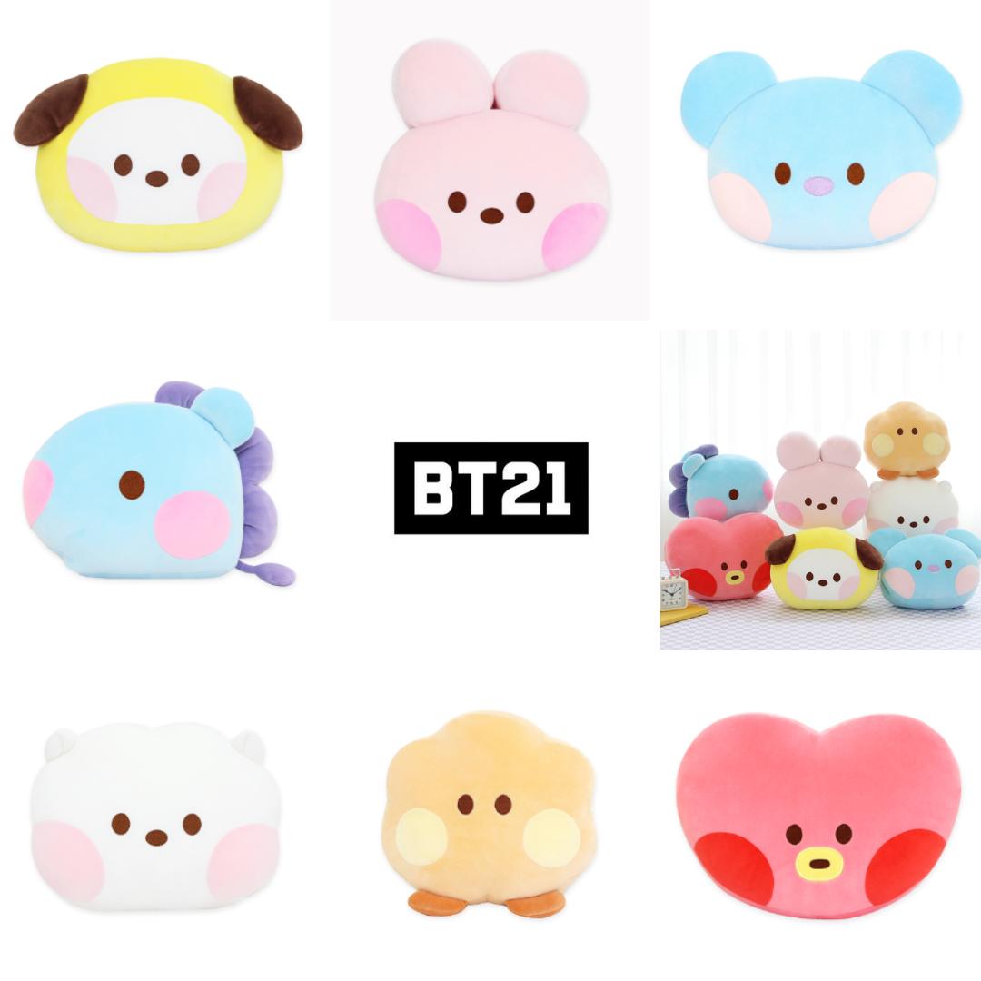 NARA HOME DECO CHARACTER MD BT21 MININI HAND WARMER CUSHION