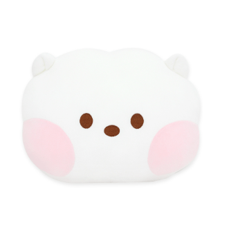 NARA HOME DECO CHARACTER MD RJ BT21 MININI HAND WARMER CUSHION